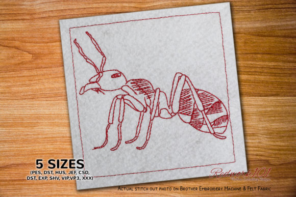 Aggressive Ant: A Designer’s Review for Commercial Use