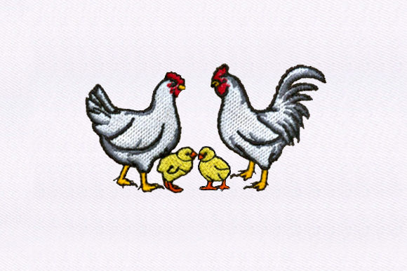 Chickens Chicks: A Designer’s Review for Boutique Sweatshirts