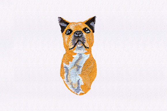 Smug Dog Design: A Designer’s Review for Gifts