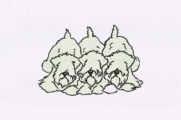Triplets Shaggy Dogs: A Designer’s Real-World Review